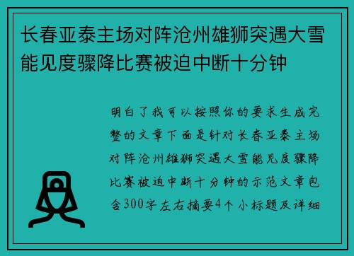 长春亚泰主场对阵沧州雄狮突遇大雪能见度骤降比赛被迫中断十分钟