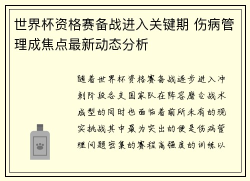 世界杯资格赛备战进入关键期 伤病管理成焦点最新动态分析